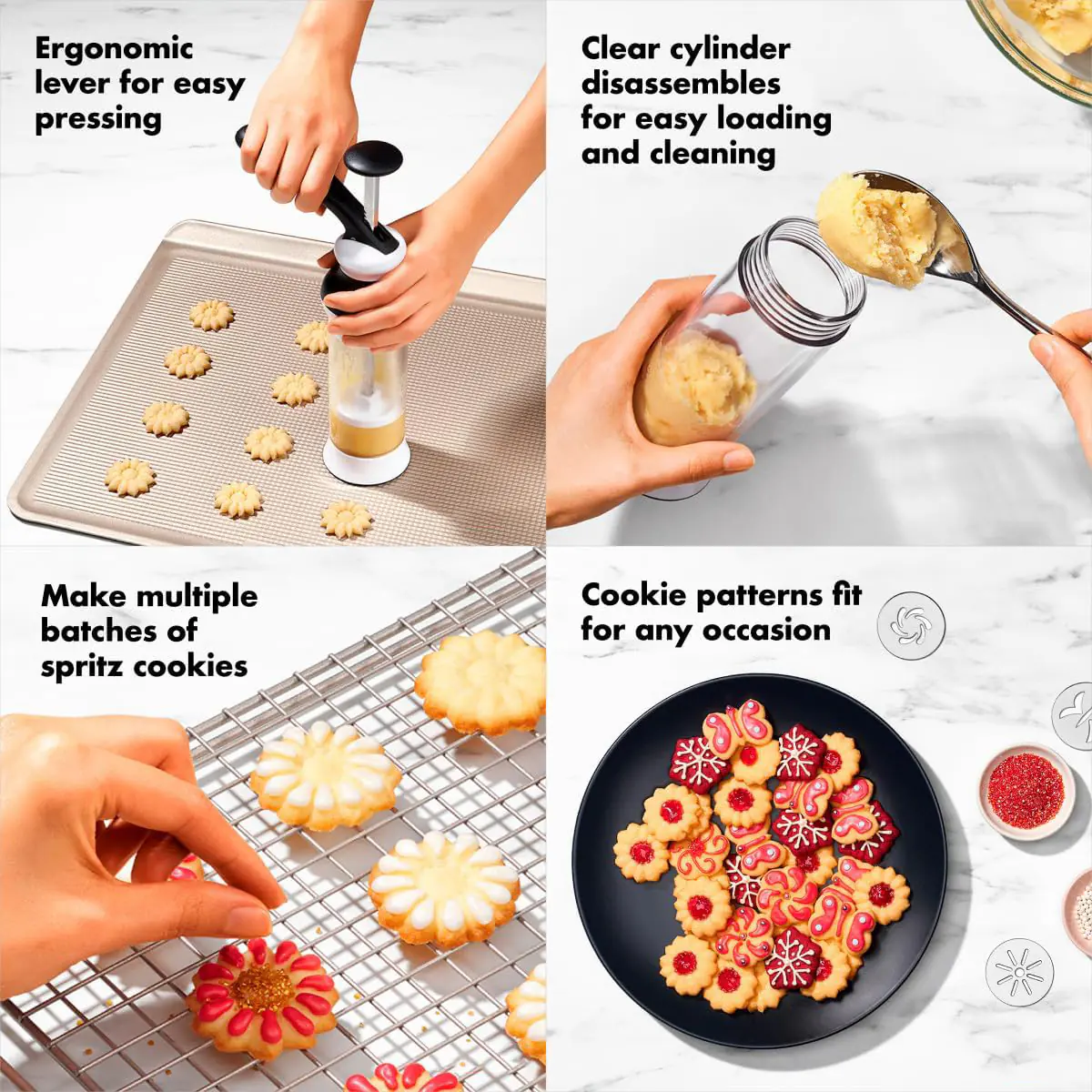 c50.2 2025022603342496