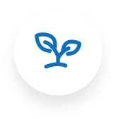 KitchenwareFrame3 2025072903232456